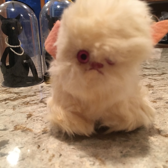 Meet your Posher, Sandee - Picture 1 of 1